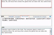 中翻英翻译在线翻译(英翻译中文的翻译在线)