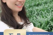 初中英语教学优质资源公众号_初中英语教学优质资源