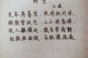 初中语文野望古诗(初中古诗野望讲课视频)