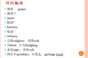 汉译英翻译_汉译英翻译词典