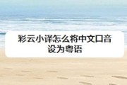 在线翻译粤语发音器(在线翻译粤语)