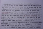 2008年考研英语一大作文_考研英语2008年大作文