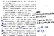 高中语文课文_高中语文课文百合花