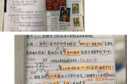 小学语文教师业务笔记_小学语文教师业务笔记内容