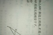 初中数学题目解答扫一扫(初中数学题解答软件app)