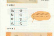 三年级语文下册_人教版三年级语文下册