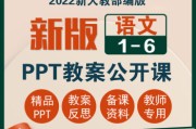 小学语文说课稿ppt(小学语文说课稿万能模板)