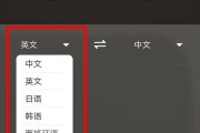 在线英语翻译器带发音(在线英语翻译器免费)