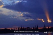 温柔到爆的神仙句子英文(温柔到爆的神仙句子英文加中文)