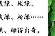 小学语文课文绿原文_小学课文绿的课件
