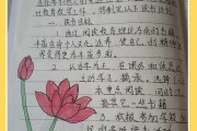 小学语文教师暑假读书计划(小学语文教师暑假读书计划怎么写)