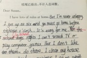 英语作文批改(英语作文批改软件)