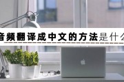 汉语翻译成英语(怎么把汉语翻译成英语)