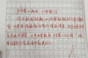 初中语文教案检查总结_教案检查总结优缺点及建议