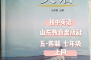 九年级上册英语教学视频全集免费外研版(九年级上册英语教学视频全集免费)