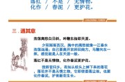 初中语文古诗炼字微课ppt的简单介绍