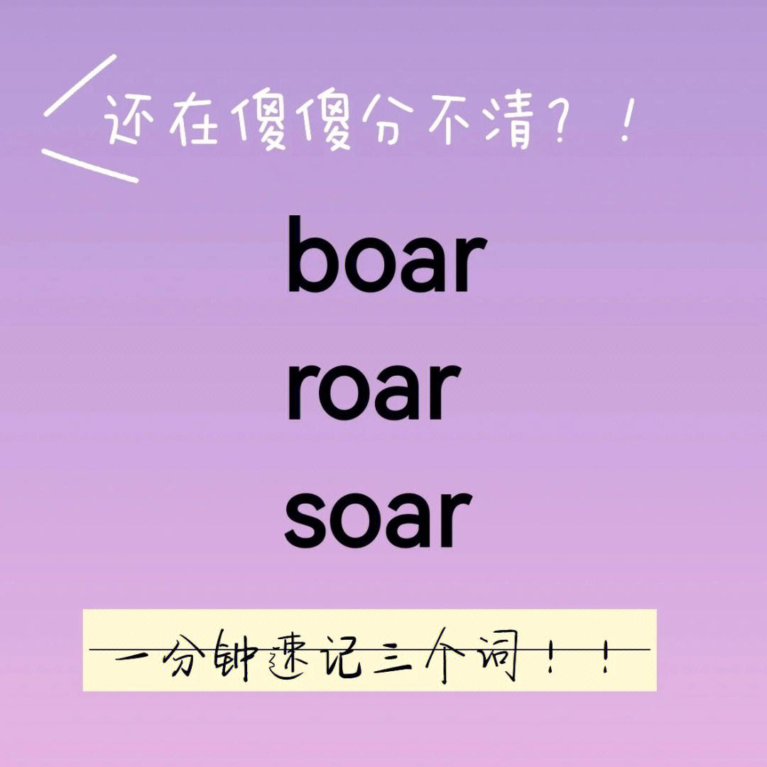 1000个日常英语单词(1000个日常英语单词四年级)