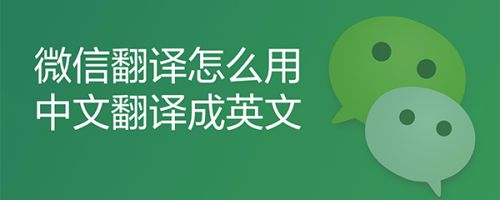 下载中文翻译英文_中文翻译英文软件下载
