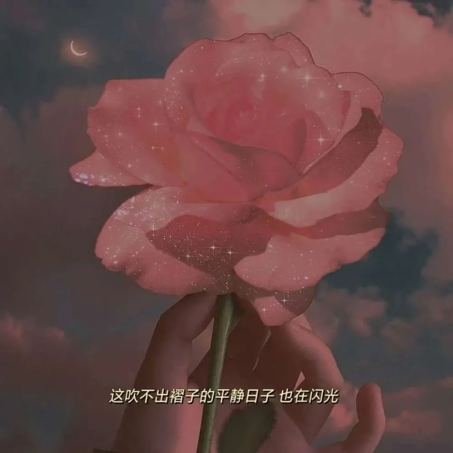 励志温柔到爆的神仙英语句子简短(励志温柔到爆的神仙英语句子)
