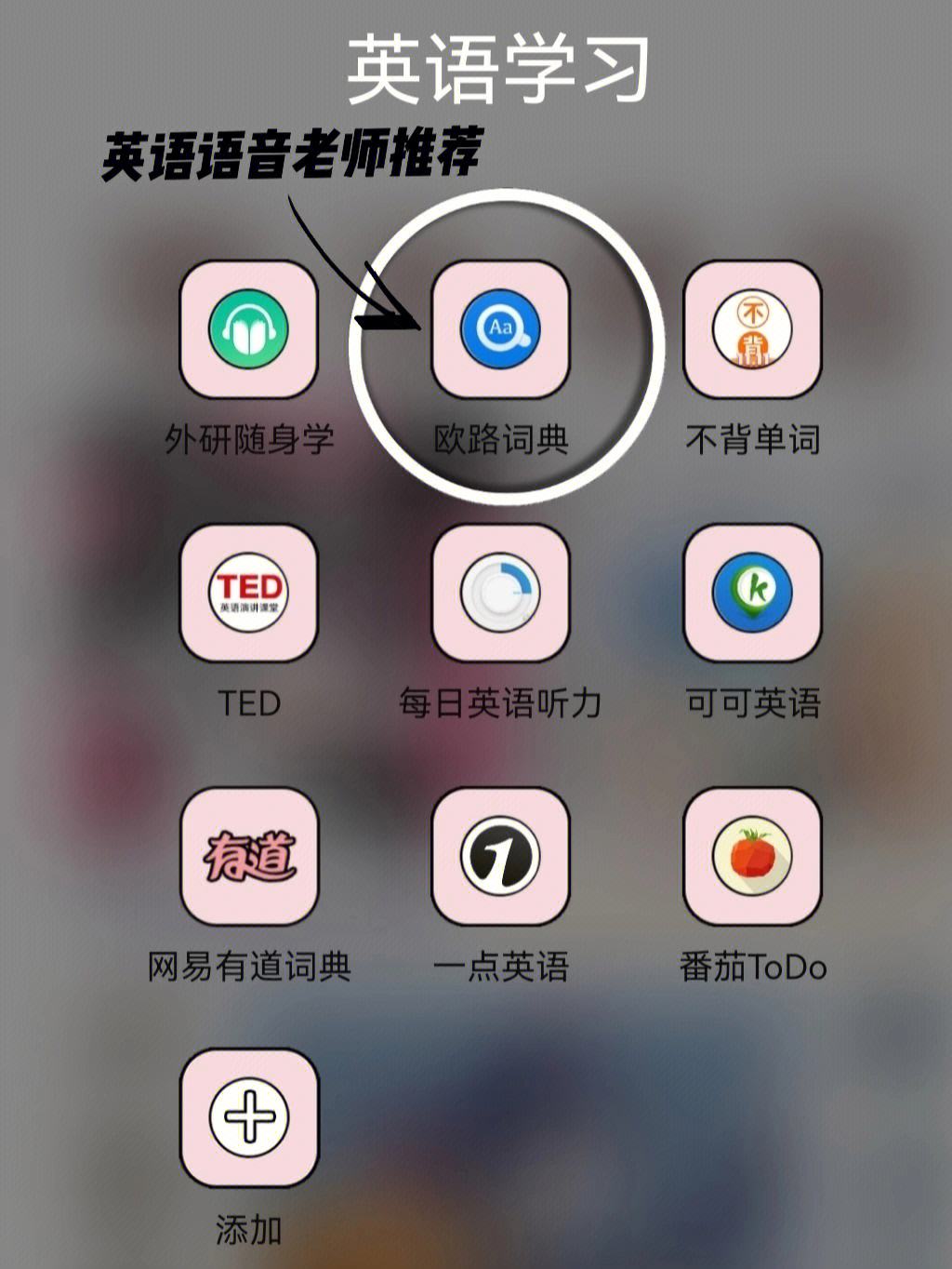 英语学习软件(小学生英语学习软件)