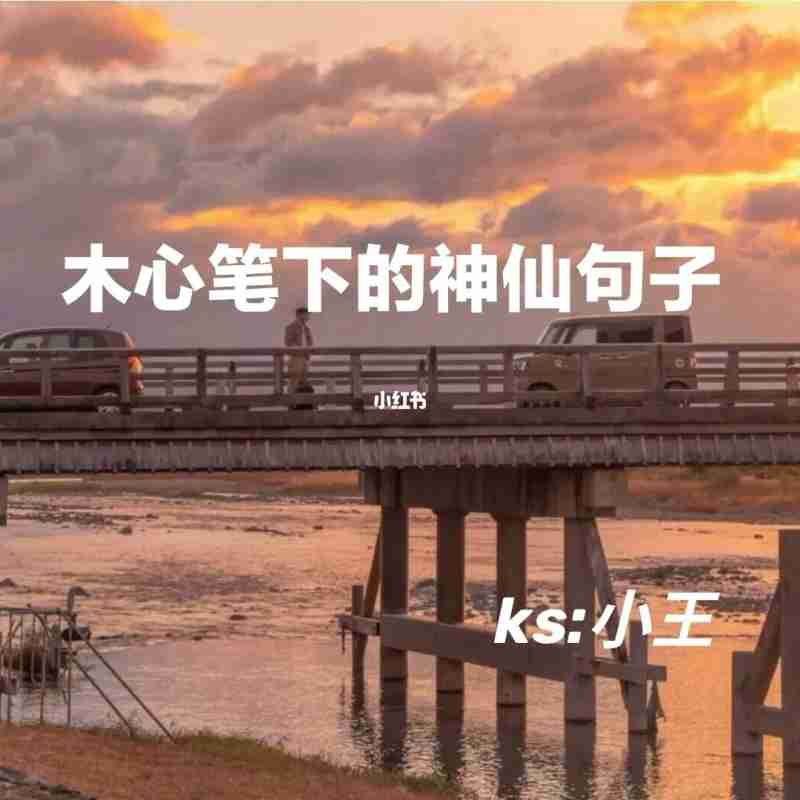 作文中惊艳的神仙句子开头结尾_作文中惊艳的神仙句子