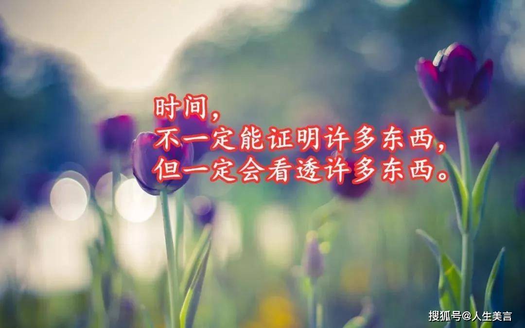 有深度有涵养的自我介绍(有深度有涵养的自我介绍40字)