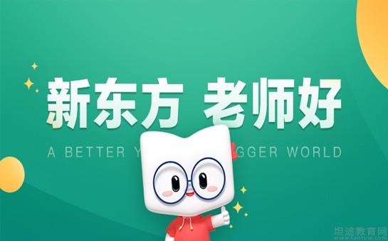 新东方初中英语教学计划(新东方初中英语教学计划方案)
