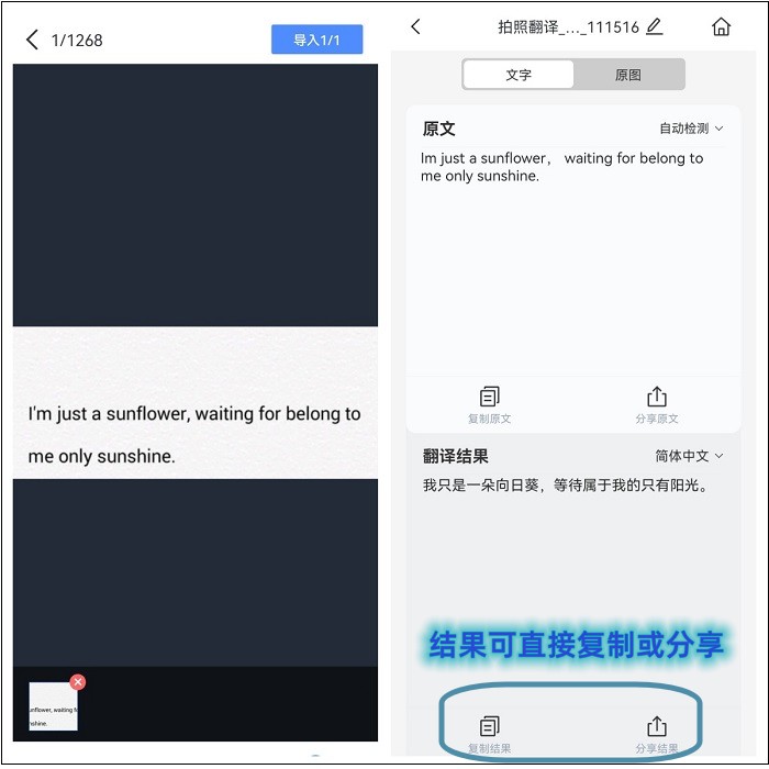 在线拍照翻译(在线拍照翻译软件)