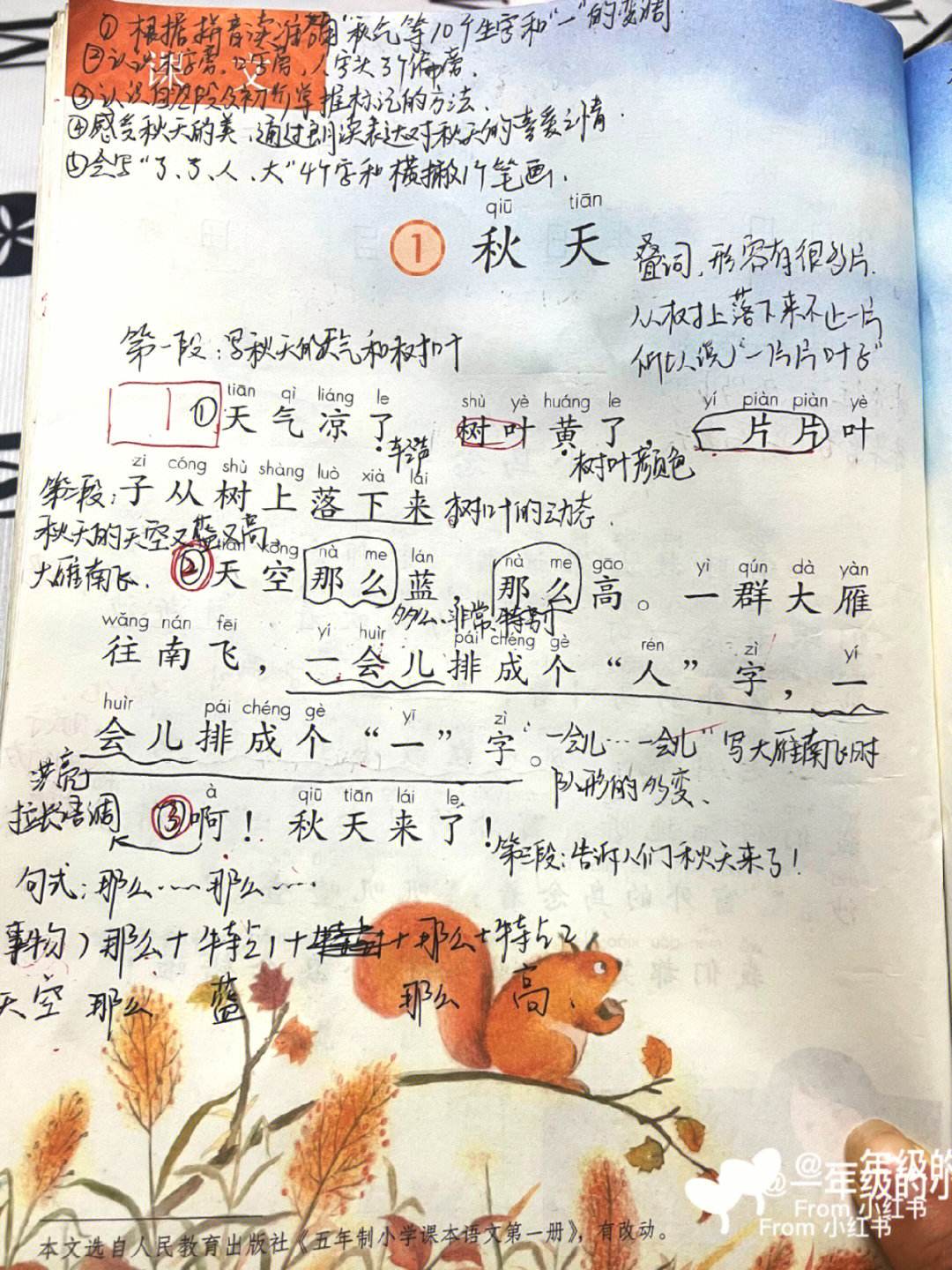 小学语文课本第三册秋天_小学语文课文秋天原文