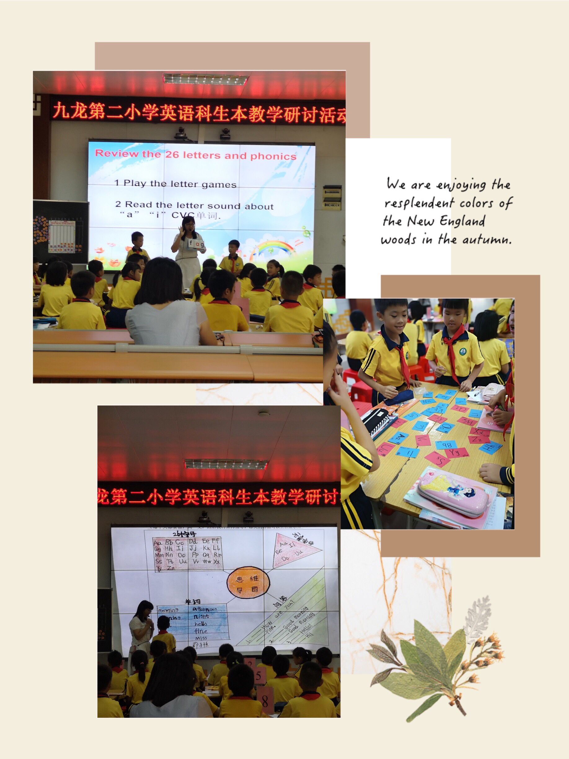 小学英语教研活动总结_小学英语教研活动总结发言