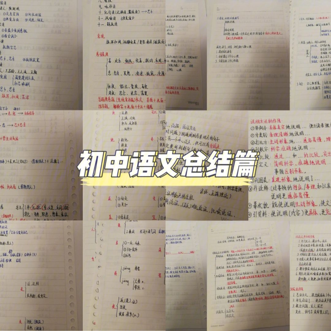 初中语文培训总结(初中语文培训总结个人总结)