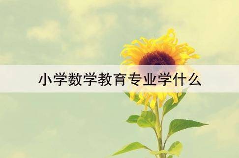 小学数学教育专升本考什么科目河南_小学数学教育专业专升本考什么
