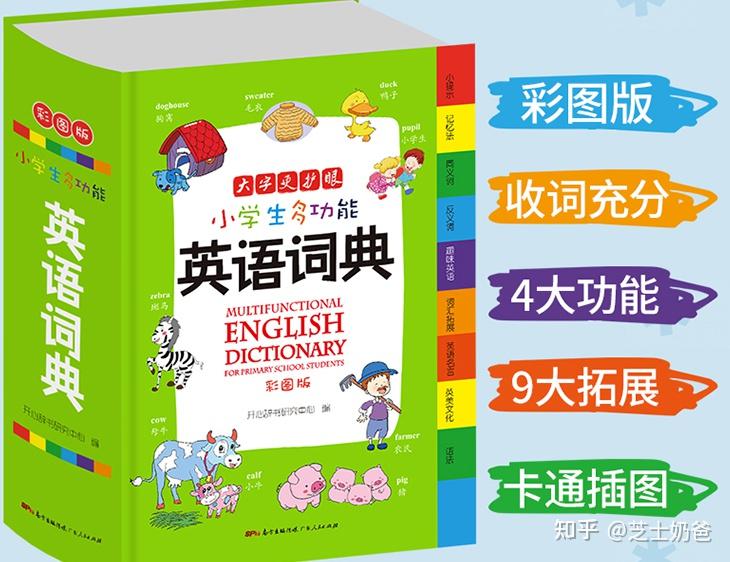 小学英语教育课程改革时间(小学英语教育课程)