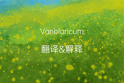 中文翻译英文意思会变_中文翻译英文意思
