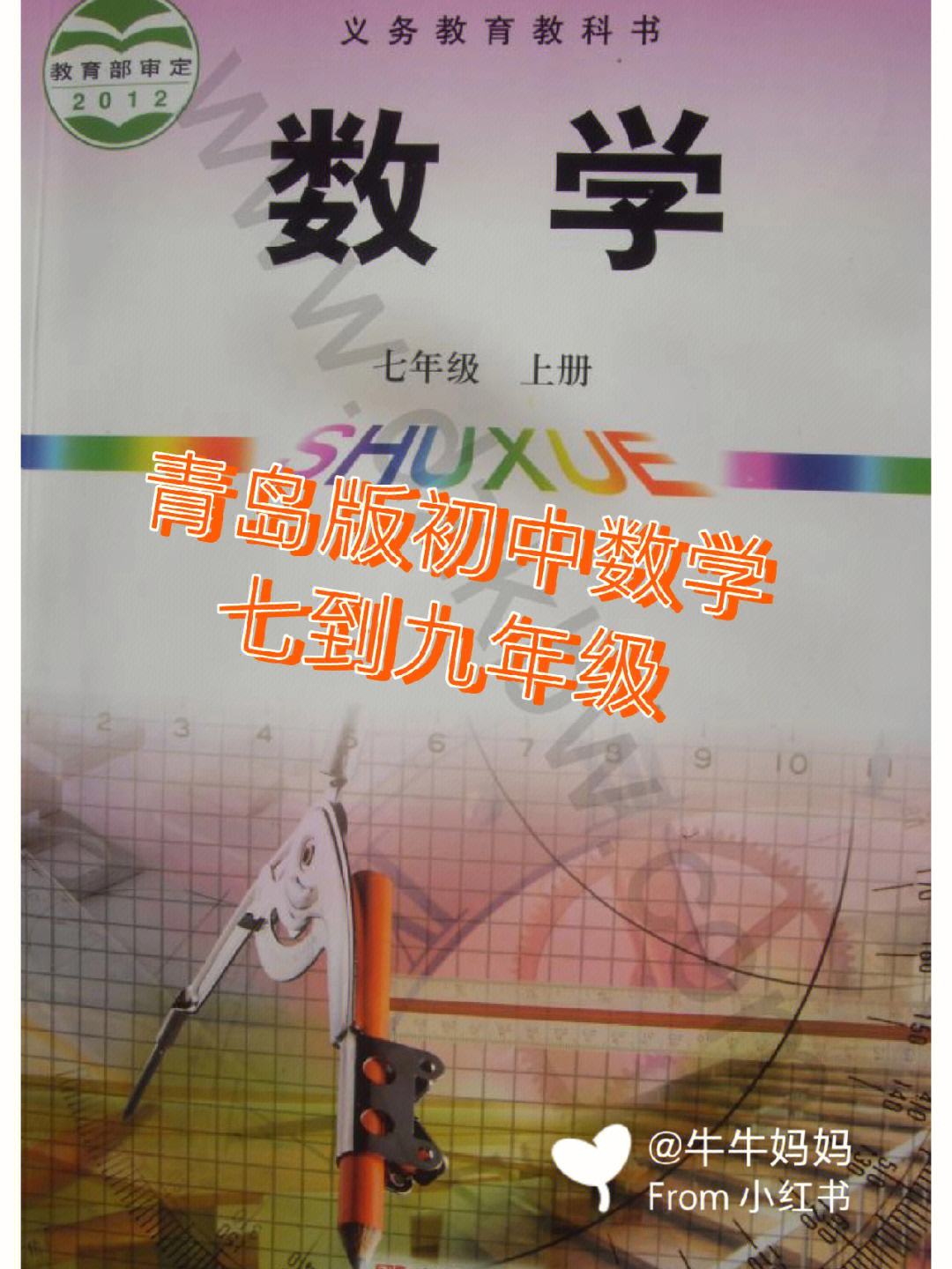 初中数学教学中存在的问题(初中数学教学)