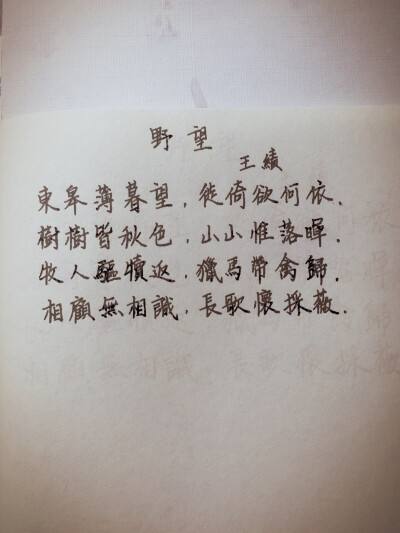初中语文野望古诗(初中古诗野望讲课视频)
