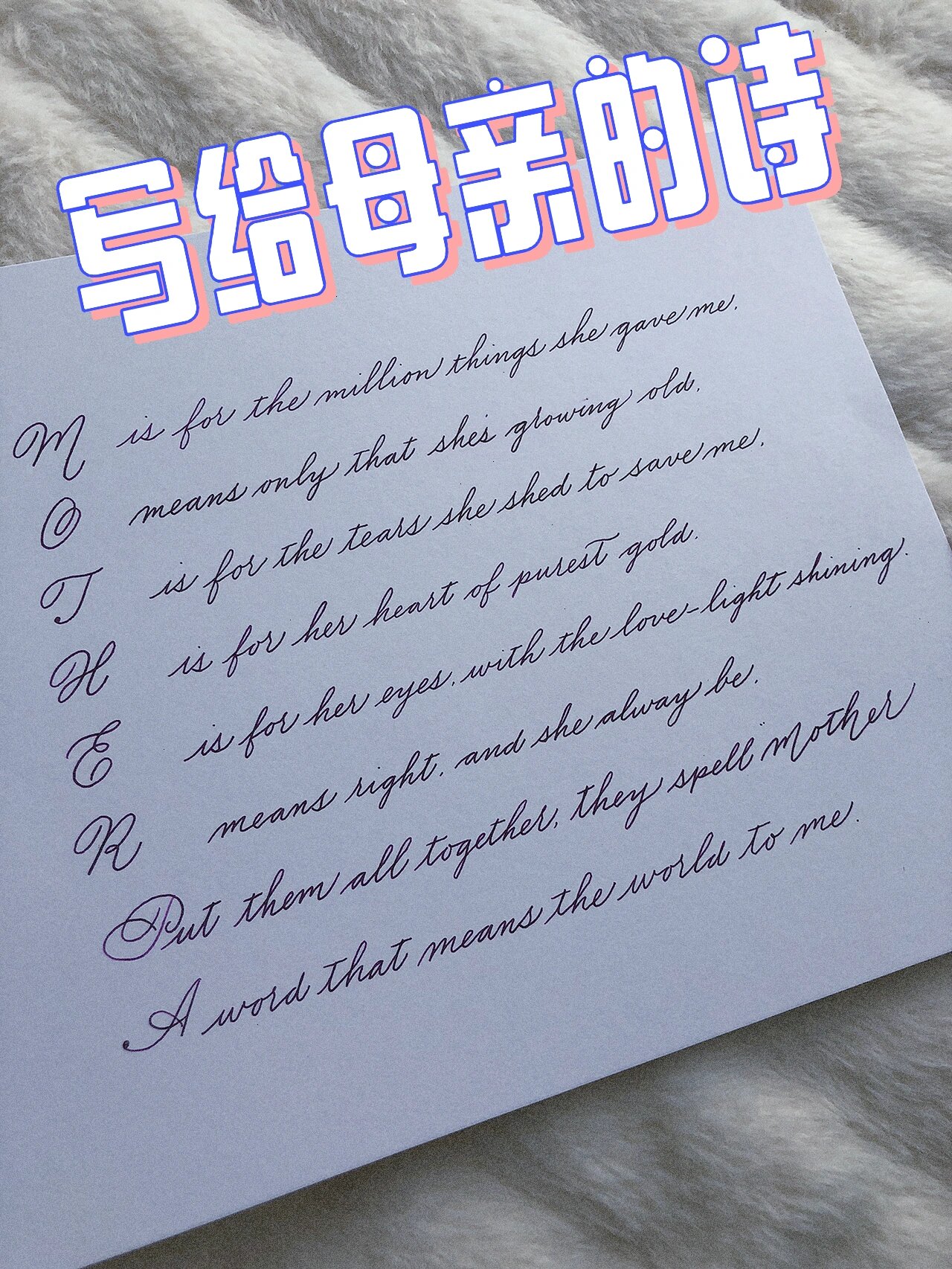 拍照翻译英语花体(英语拍照翻译中文转换器)