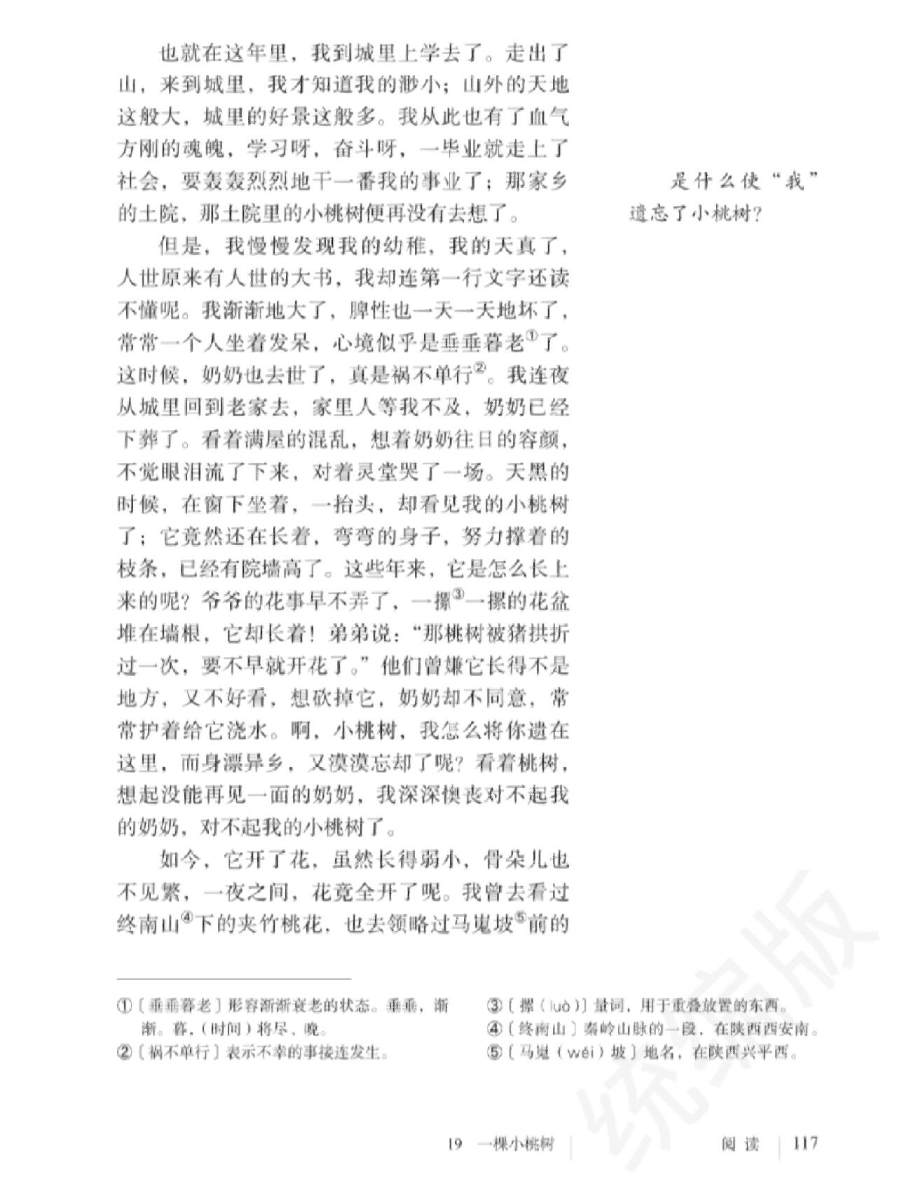 初中语文七年级下册卷子电子版(初中语文七年级下册卷子电子版下载)