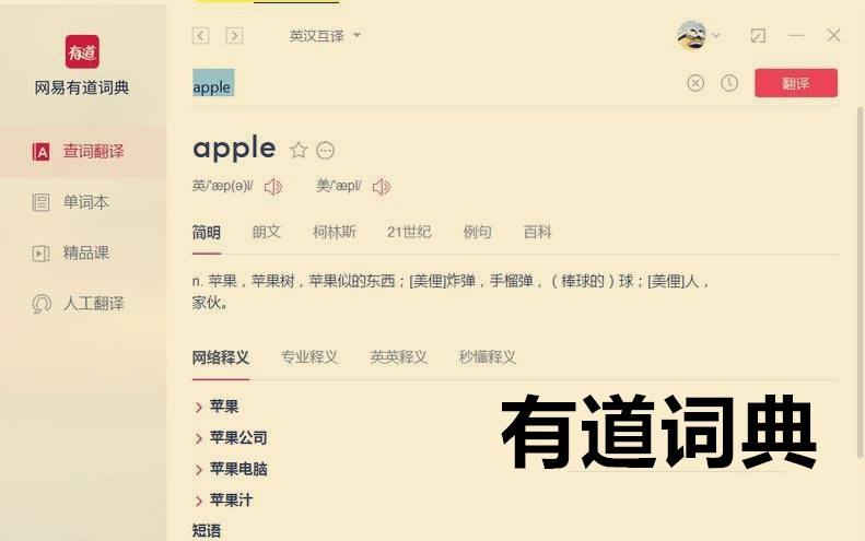 有道文档翻译_翻译有道